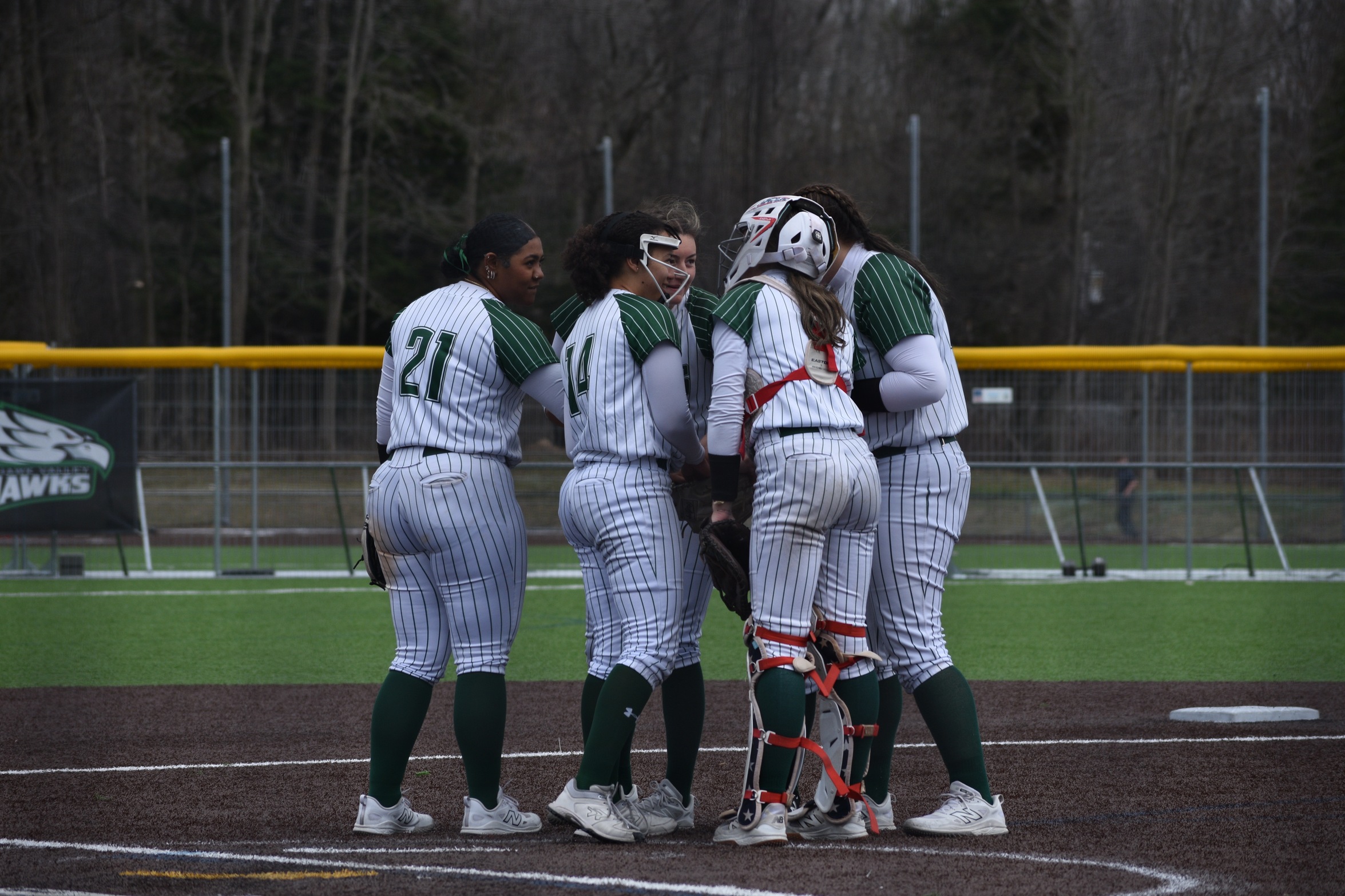 Hawks meeting on the mound.