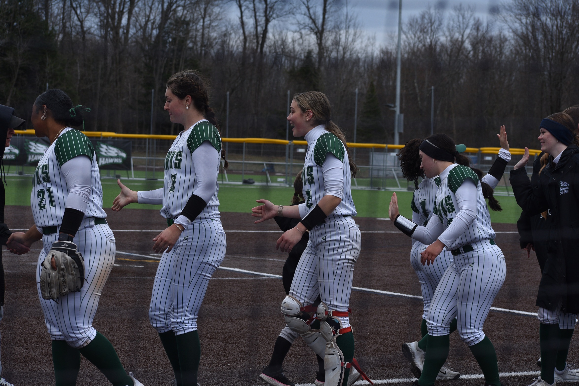 Hawks celebrate after win.