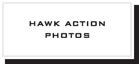 Hawk Action Photos